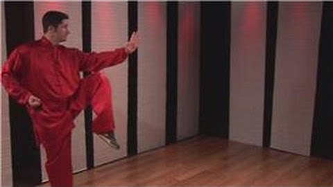 Kung Fu : Palm Block, Jumping Spear Hands & Hook Palm Combo