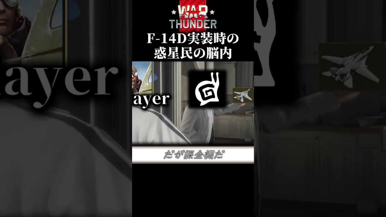 【WarThunder】F-14D実装時の惑星民の脳内