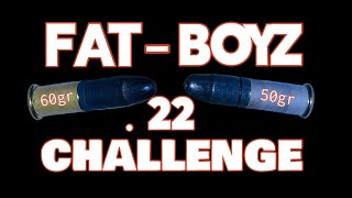 Subsonic 22lr Challenge #águilas #cascade #bulletlover #cci #lr #accuracy #velocity #garmin