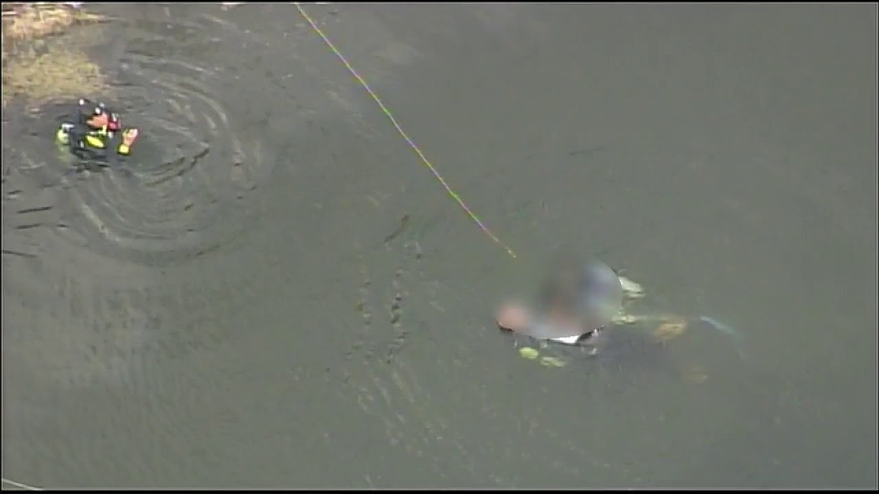Car theft suspect dies after crashing vehicle into canal near Doral ...