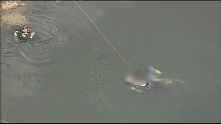 Car theft suspect dies after crashing vehicle into canal near Doral