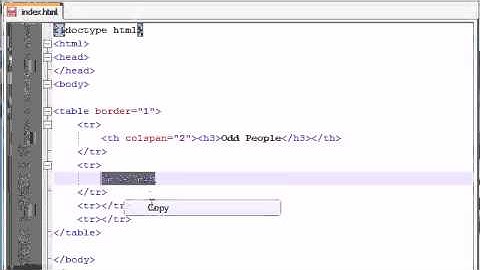 XHTML and CSS Tutorial   13   colspan & Annoying People