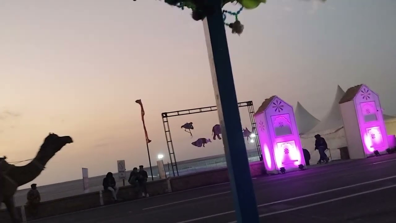 White desert Camel and horse ride (dhordo Kutch)