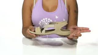 Flexus Lineata SKU: 9784523