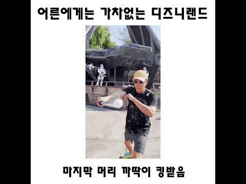 어른에게는 가차없는 디즈니랜드