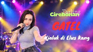 Gatel Njaluk Dielus Kang (Lagu Tarling Terbaru 2026)