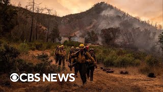 California vineyards concerned about smoke from Pickett Fire