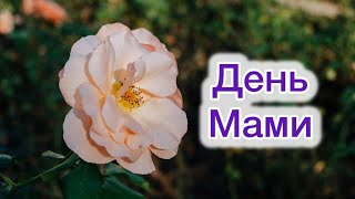 Християнське привітання з Днем Матері. Чудове вітання з днем мами. Автор Лариса Шпак