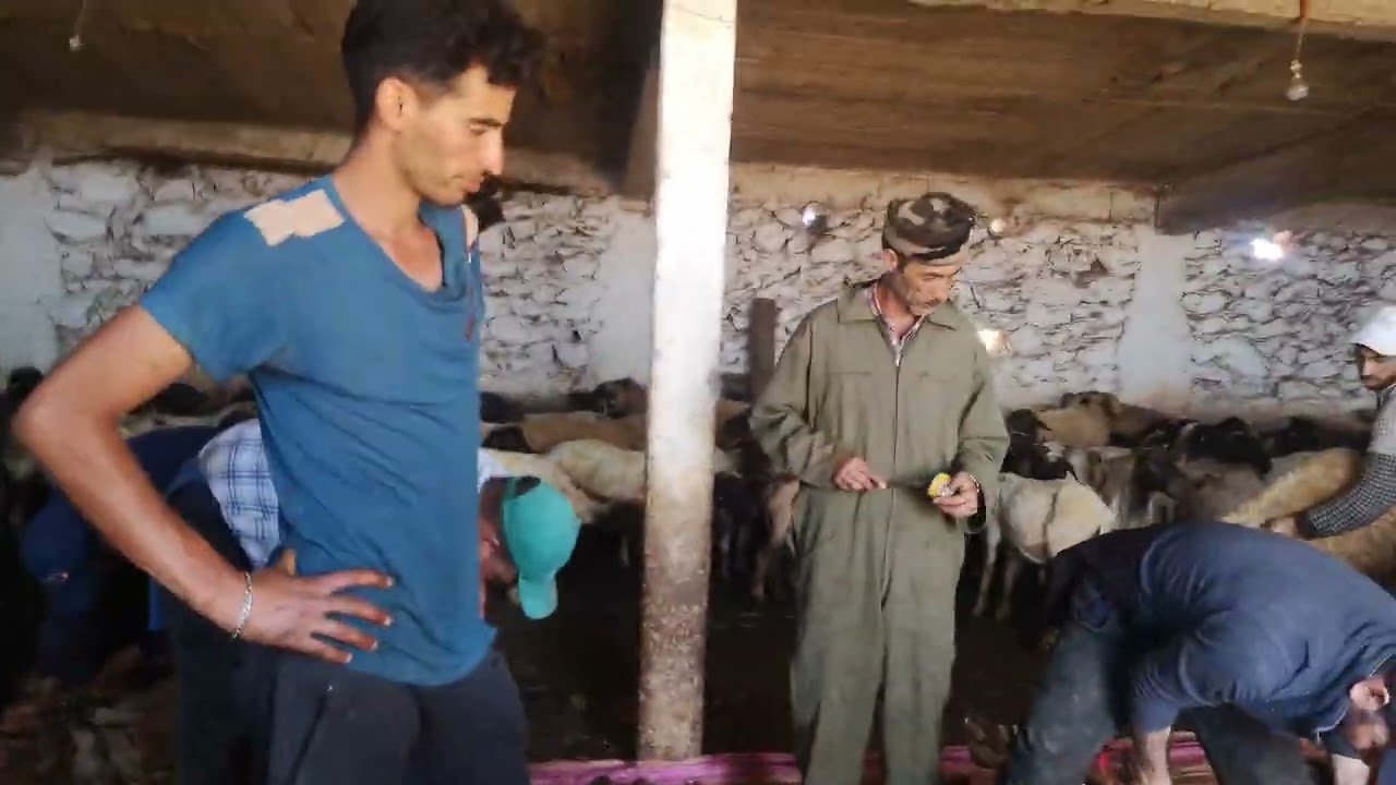 من ثقافتنا العريقة دزان (ثالاسا) بالأمازيغية