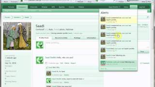 Profile Comments on Pakistan.web.pk screenshot 3