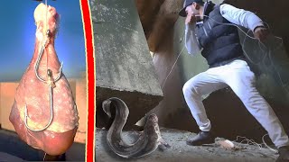 Fishing With a Chicken! - (Fishing Hand ) Conger Eel Traditional Moroccan Style