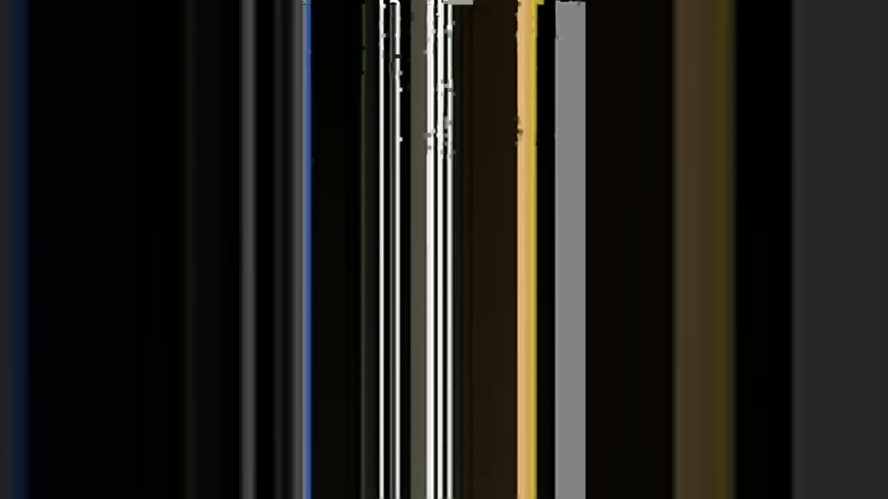 Ev hayvanları Gülməli🤣🤣🤣 TURAN988 YouTube