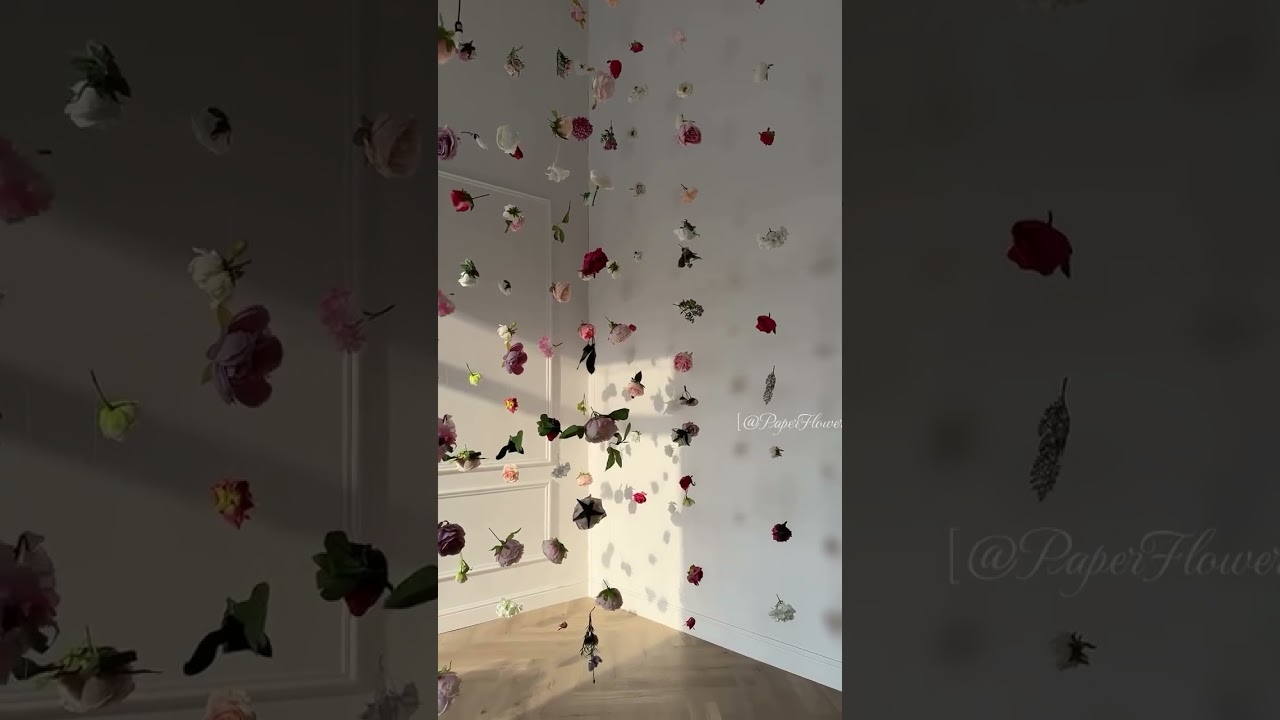 Triple the Excitement! 😍😍😍 