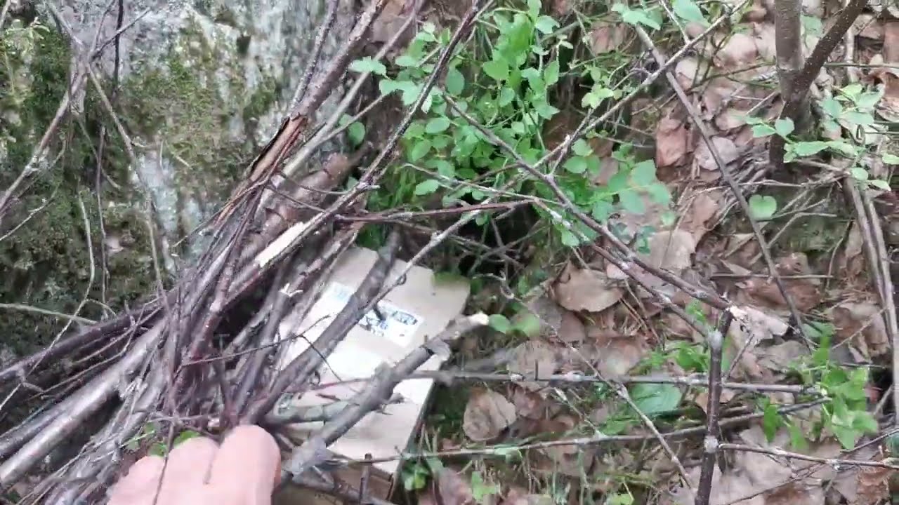 Mouse winter hotel and release in summer – ASMR whisper voice