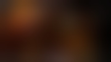 Divinity Original Sin 2 Tavern Love!