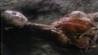 飛頭魔女 完全版