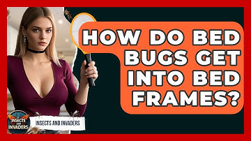 How Do Bed Bugs Get Into Bed Frames? - Insects and Invaders