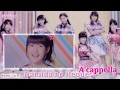 《歌ってみた》 【Sweet Girls】 「涙のリクエスト」 A CAPPELLA