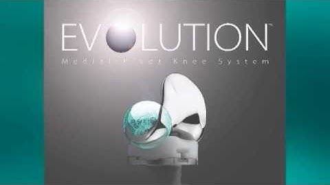 EVOLUTION™ Medial-Pivot Knee System