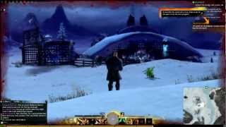 Guild Wars 2 Beta Weekend 2: Icebrood Elementals Bug