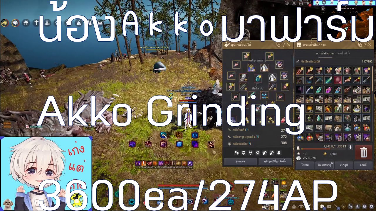 Tamer succession Stars End 3600 Cliff Loop (274/272/308) loot scroll