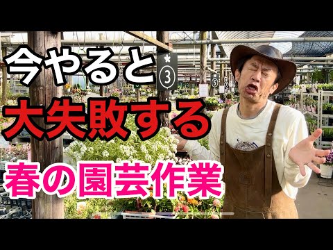 五月のガーデニング完全ガイド｜やるべき作業と失敗しないコツ