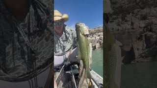 Pecos River