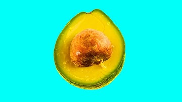 스톱모션 애니메이션을 만족시키는 과일 및 채소 내부 패턴 Patterns Inside Fruits and Vegetables Stop-Motion Animation 92