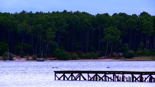 Lac de Sanguinet : le petit paradis landais