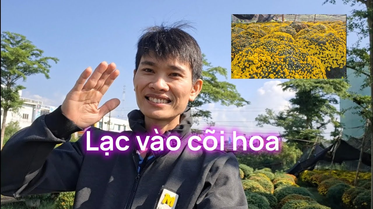 Lạc vào cõi hoa mơ màng và điều kỳ lạ từ ống tre, thăm vườn mai Bình Định.  #huyhuytranpro 