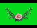 5 Green Screen Floral Wedding Invitation Motion Graphic Part 1