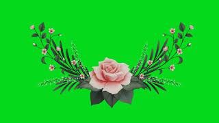 5 Green Screen Floral Wedding Invitation Motion Graphic Part 1