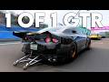 Forza Horizon 6 - Exclusive Forza Edition GTR (1 of 1 Wheelspin Car)