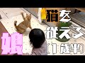 猫使い爆誕!!!!!!!