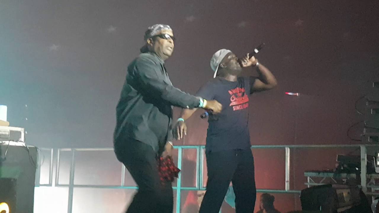 Transmission festival