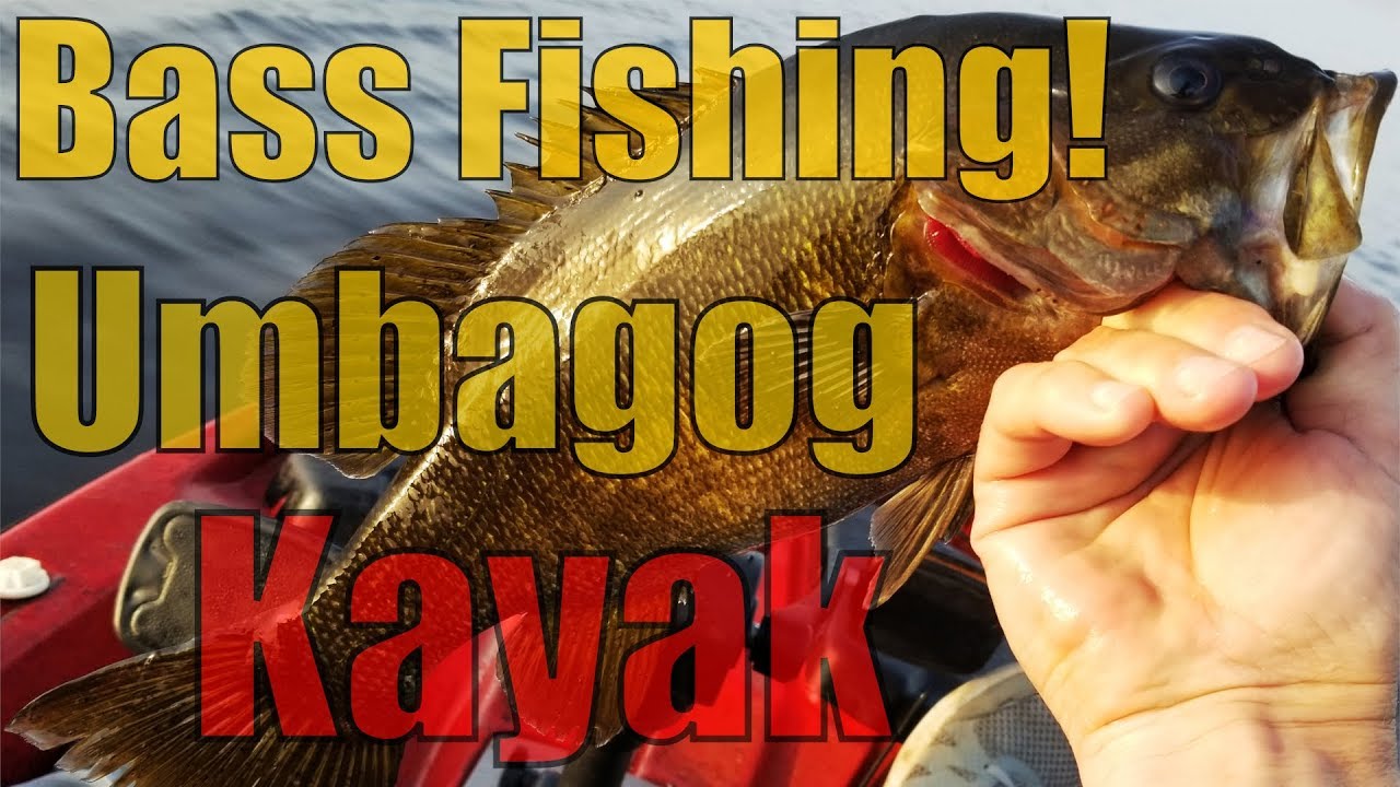 Smallmouth Bass Fishing Umbagog Kayak YouTube