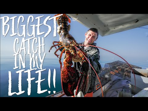 Over 100 Year Old Lobster!!! BIGGEST CATCH OF MY LIFE!