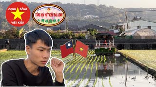 Việt Kiều Đài Loan | Cộng Đồng Người Việt Nam Tại Nước Ngoài Nghe Thì Oai Đấy! | VBN Official