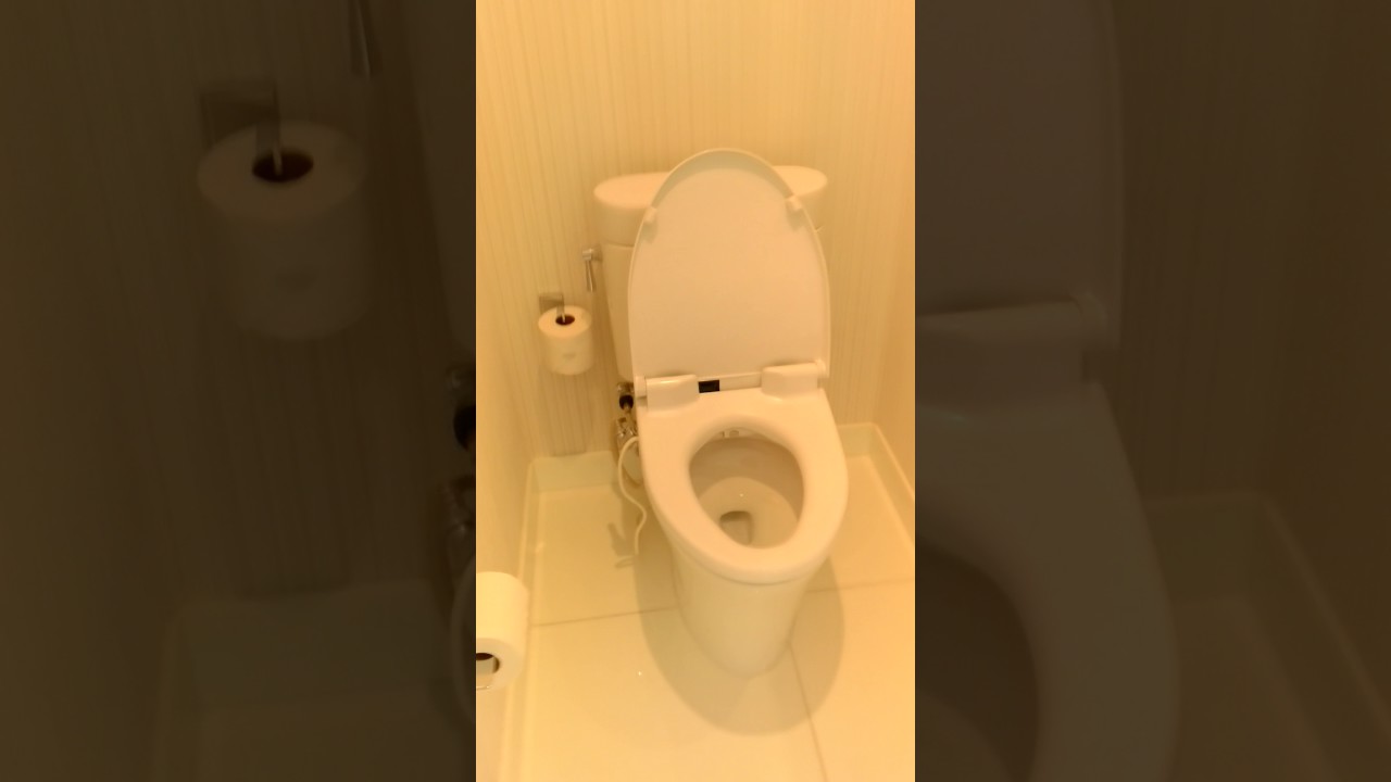 Nice toilet in Aria Vegas YouTube