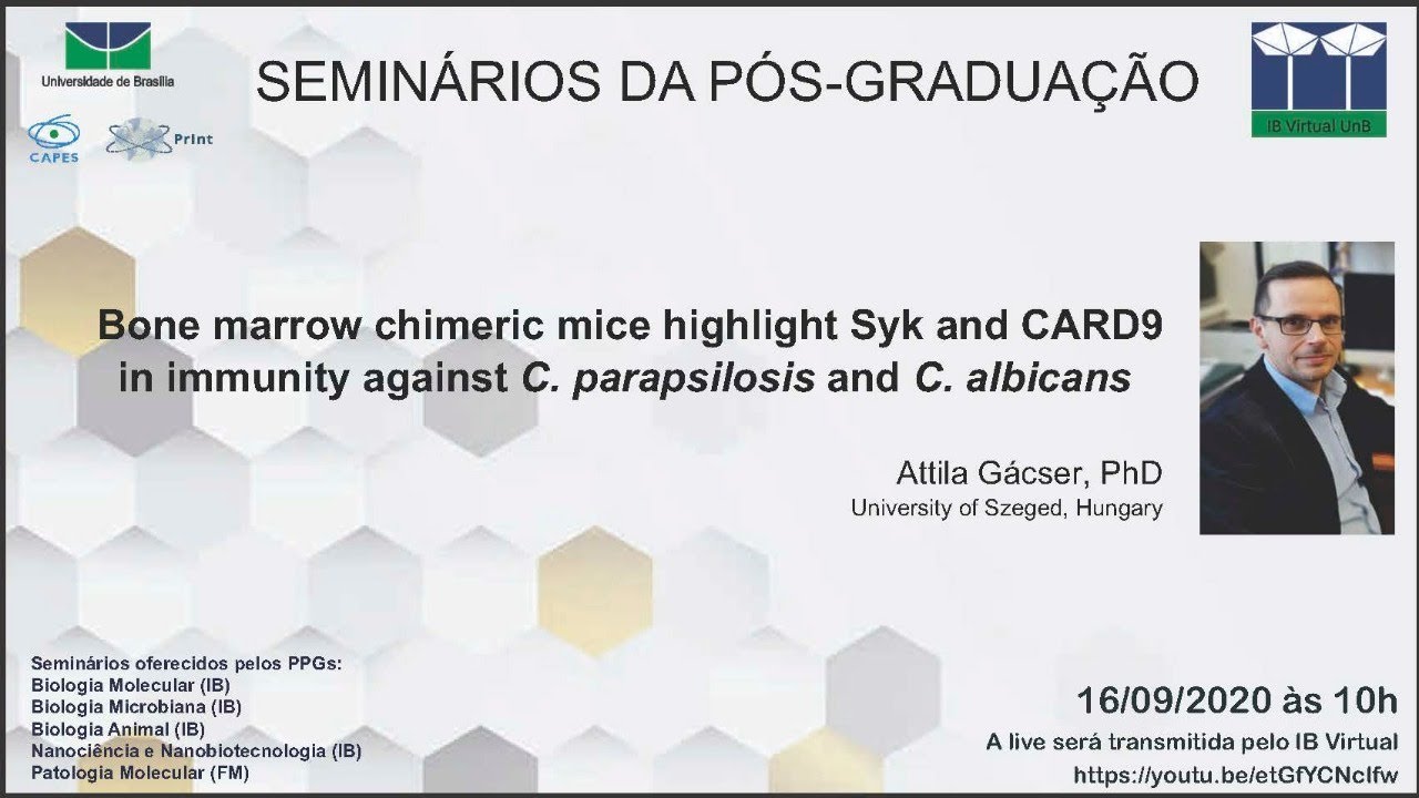 Bone marrow chimeric mice highlight Syk and CARD9 in immunity against C. parapsilosis & C. albicans