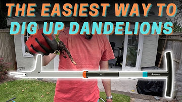 Gardena weed puller - the easiest way to dig up dandelions!