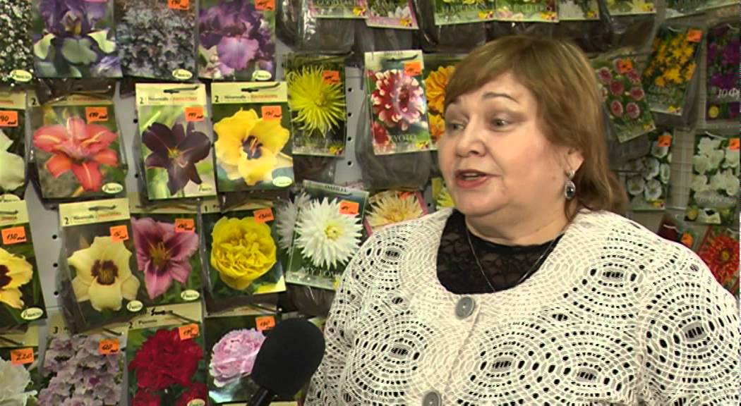 Магазин Садория В Нижнем Новгороде Каталог Товаров