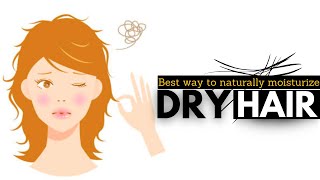 Moisturize Your Dry Hair Naturally Top Techniques To Try