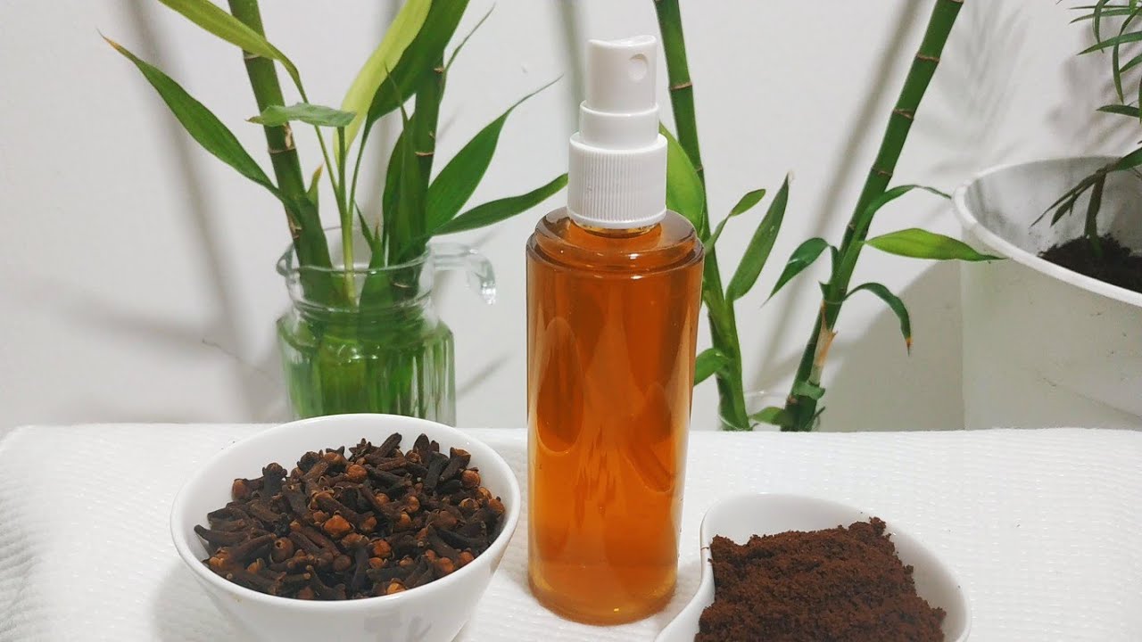 cloves for hair growth