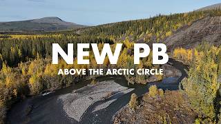 Fishing for Arctic Grayling… in the Arctic! (Tenkara Fly Fishing)