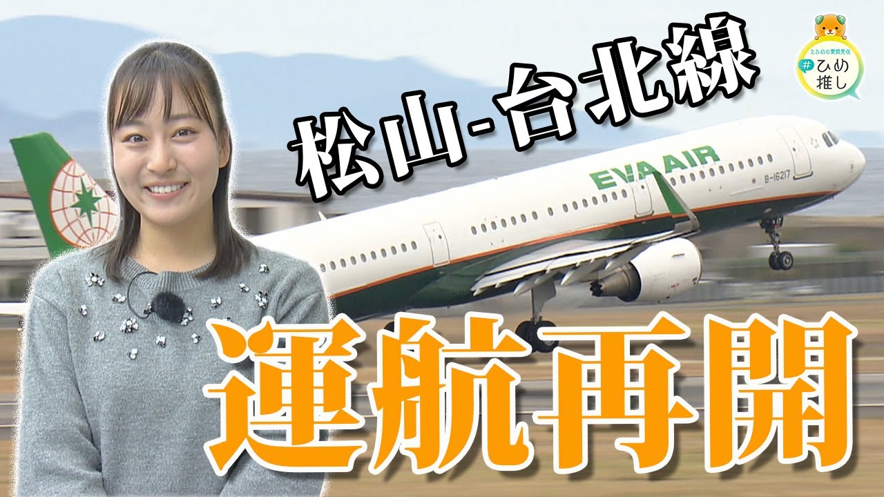 エバー航空　愛媛 / 松山→台北 / 桃園便　運航再開記念品 エバー航空 愛媛 / 松山→台北 / 桃園便 運航再開記念品 【公式通販】