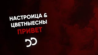 настроица & ЦВЕТНЫЕСНЫ - Привет