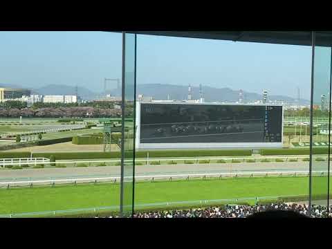 第83回 桜花賞 (GⅠ) 2023年4月9日(日) 阪神競馬場 - 現地映像