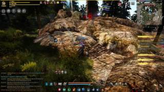 Black Desert Reapers Node War 5/26/17