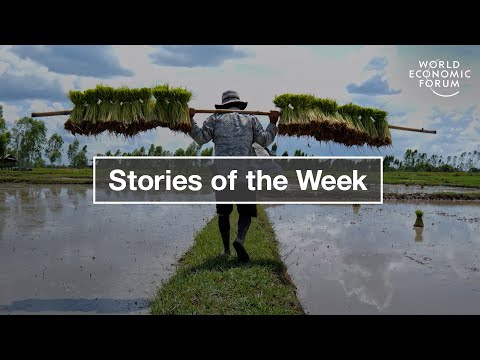 How to Solve Global Rice Shortage & This Fabric Stops Mosquito Bites | WEF | Top Stories of the Week Episode cover